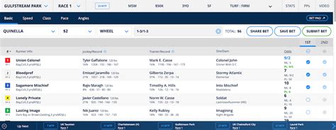 quinella bet|quinella bet calculator.